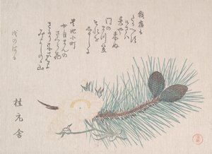 Pines and Cherry Blossoms by Kubo Shunman