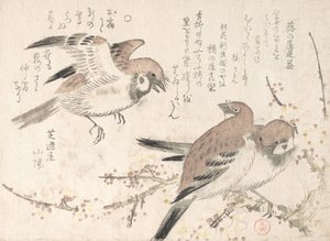Sparrows and Plum Blossoms, 19th century