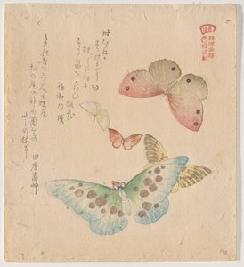 The Painting Manual of Flock of Butterflies (Guncho Gafu)