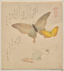 The Painting Manual of Flock of Butterflies (Guncho? Gafu)