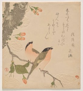 Two Bullfinches on a Double-Petalled Cherry Tree