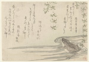 Frog under a Willow Tree