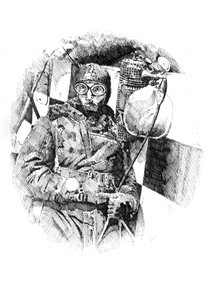 Aviator In Cockpit