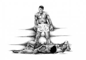 Boxing Knockout Victory