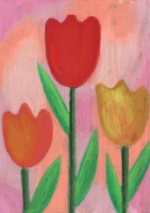 Colorful Spring Tulips