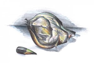 Crumpled Leaf Study by Kulik