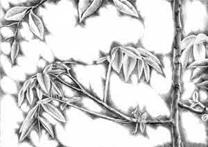 Dappled Light Leaves by Kulik