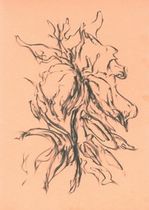 Dynamic Charcoal Growth by Kulik