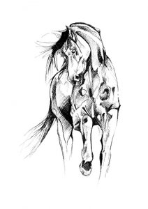 Dynamic Horse Sketch