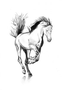 Galloping Horse Sketch by Kulik