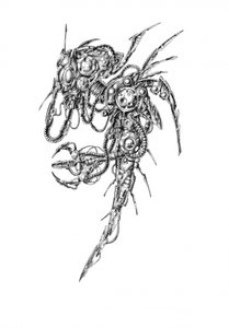 Intricate Mechanical Insect
