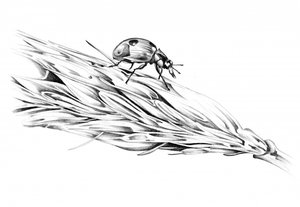 Ladybug on Wheat by Kulik