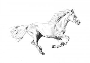 Majestic Running Horse by Kulik