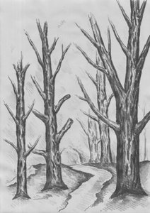Path Through Stark Trees by Kulik