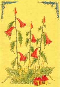 Red Bell Flowers House