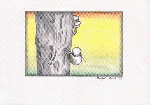 Tree Sap Collection Sunset by Kulik