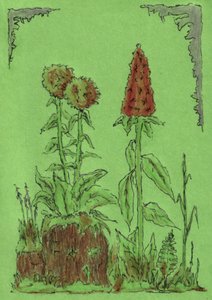 Whimsical Garden Plants