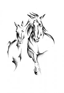 Wild Horse Duo by Kulik