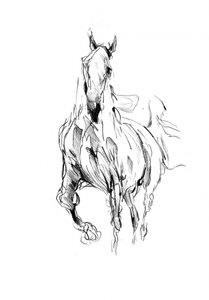Wild Horse Movement