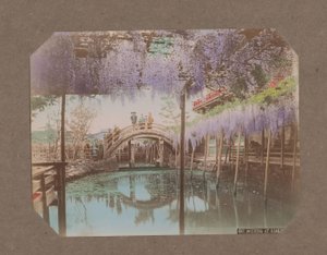 People on a Bridge, with Blooming Wisteria in the Foreground, in Kameido, Tokyo, Japan
