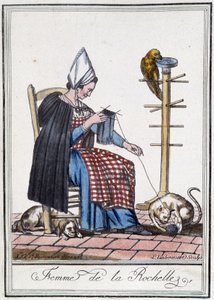 Woman of La Rochelle knitting with a dog, a parrot and a cat playing with the ball of wool