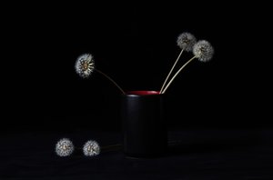 Elegant Dandelions Vase by LM Meng