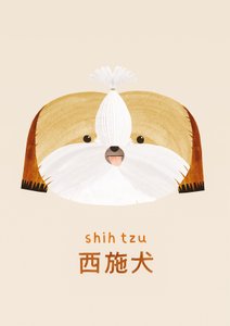 Shih Tzu by Léa Le Pivert