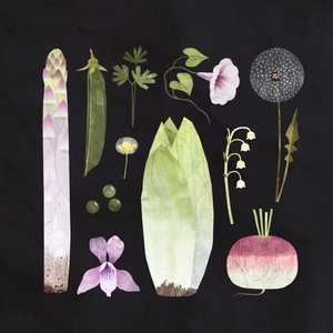 Veggies and Blooms by Léa Le Pivert