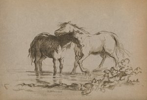 Horses by Lady Diana Spencer