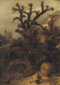 Thistle, Pumpkin and a Goat by Lambert Doomer