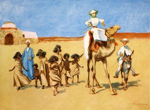 Gollywogs of the Desert