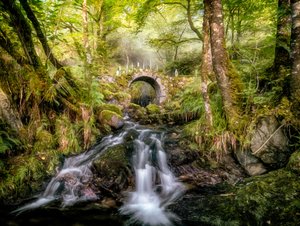 Enchanted Forest Stream Bridge by Lars van de Goor †