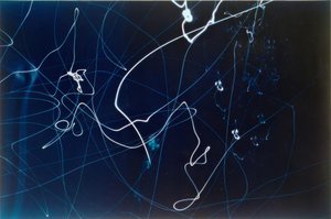 Untitled (3 Shots of Traffic Lights)
