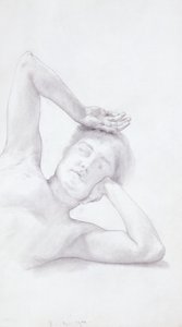 Female Head and Torso