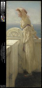Hopeful, 1909