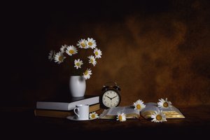 Daisies Books Morning Peace by Leah Xu