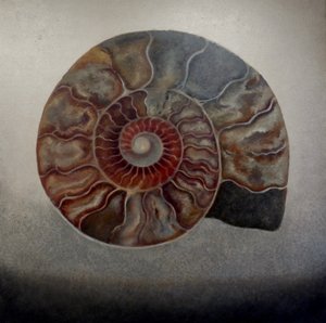 Silver Ammonite by Lee Campbell
