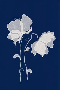 Ethereal White Flowers