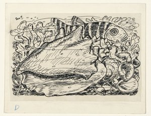 Fish and Shell in the Water