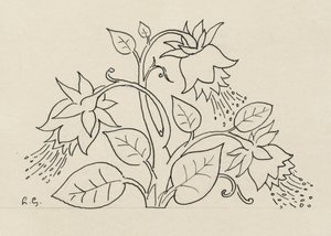 Flower Bush