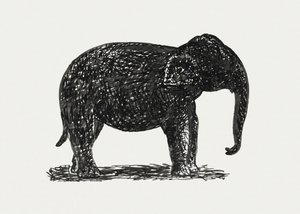 Elephant (ca. 1891-1941)