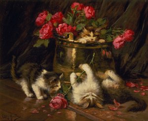 Playful Kittens
