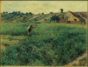 Mower in the Lucerne Field