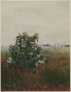 Flowering Laurustinus in front of a Landscape by Léon Bonvin