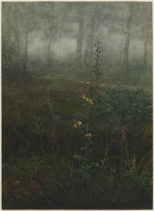 Gray Mullein in the Undergrowth by Léon Bonvin