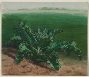 Study of a Plant, Possibly Thistle by Léon Bonvin