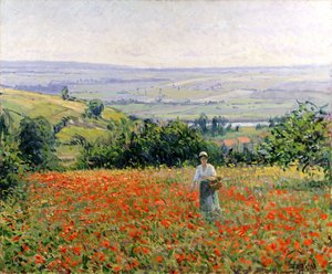 Woman in a Poppy Field