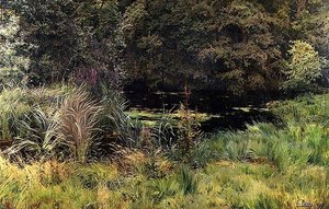 Landscape with Reeds