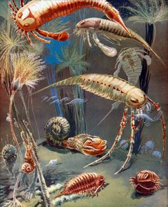 Life in Paleozoic Seas