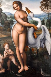 Leda and the Swan by Leonardo da (after) Vinci